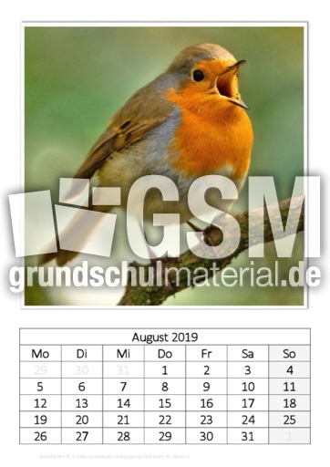 August_Rotkehlchen.pdf